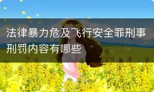 法律暴力危及飞行安全罪刑事刑罚内容有哪些