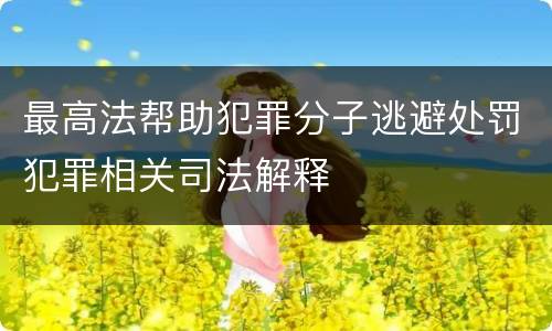 最高法帮助犯罪分子逃避处罚犯罪相关司法解释