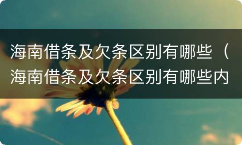 海南借条及欠条区别有哪些（海南借条及欠条区别有哪些内容）