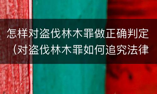 怎样对盗伐林木罪做正确判定（对盗伐林木罪如何追究法律责任）