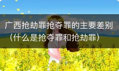 广西抢劫罪抢夺罪的主要差别（什么是抢夺罪和抢劫罪）