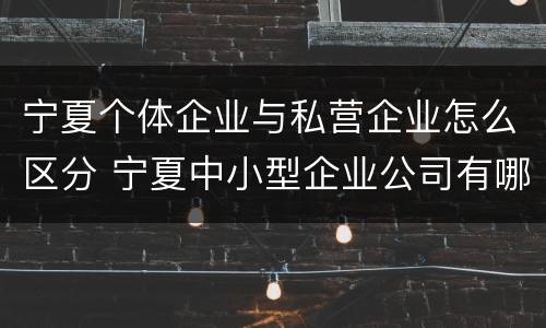 宁夏个体企业与私营企业怎么区分 宁夏中小型企业公司有哪些