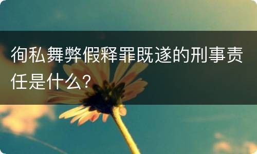 徇私舞弊假释罪既遂的刑事责任是什么？