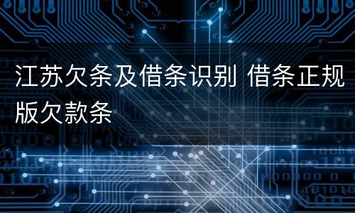 江苏欠条及借条识别 借条正规版欠款条