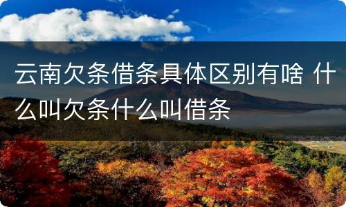 云南欠条借条具体区别有啥 什么叫欠条什么叫借条
