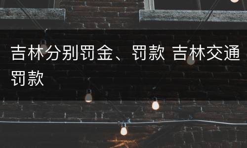 吉林分别罚金、罚款 吉林交通罚款