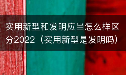 实用新型和发明应当怎么样区分2022（实用新型是发明吗）