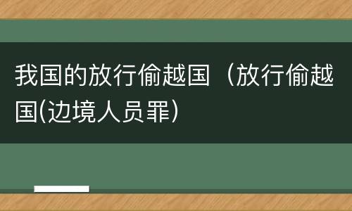 我国的放行偷越国（放行偷越国(边境人员罪）