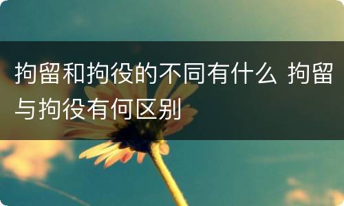 拘留和拘役的不同有什么 拘留与拘役有何区别