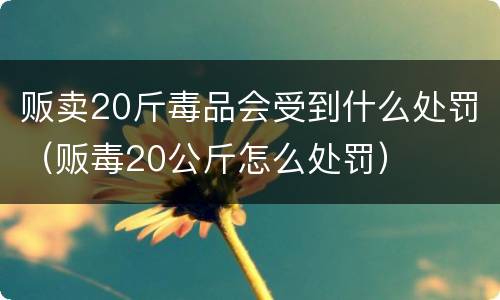 贩卖20斤毒品会受到什么处罚（贩毒20公斤怎么处罚）