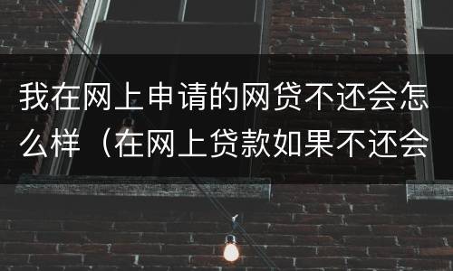 我在网上申请的网贷不还会怎么样（在网上贷款如果不还会怎么样）