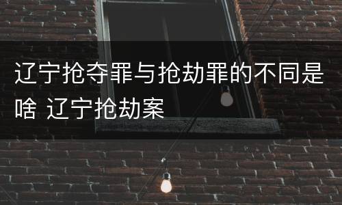 辽宁抢夺罪与抢劫罪的不同是啥 辽宁抢劫案