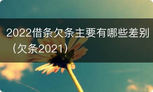 2022借条欠条主要有哪些差别（欠条2021）