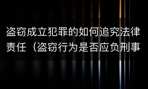 盗窃成立犯罪的如何追究法律责任（盗窃行为是否应负刑事法律责任）