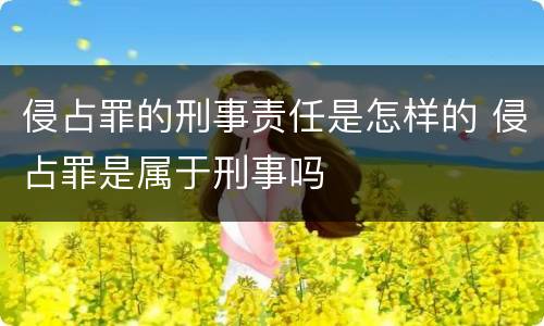 侵占罪的刑事责任是怎样的 侵占罪是属于刑事吗