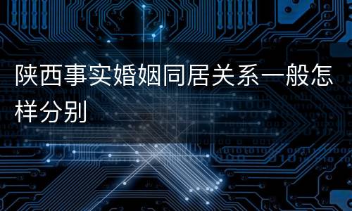 陕西事实婚姻同居关系一般怎样分别