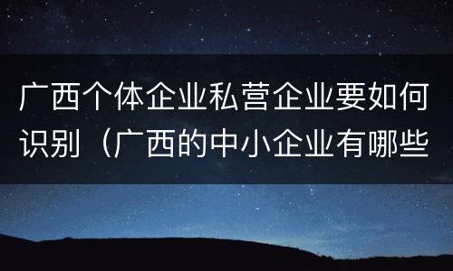 广西个体企业私营企业要如何识别（广西的中小企业有哪些）
