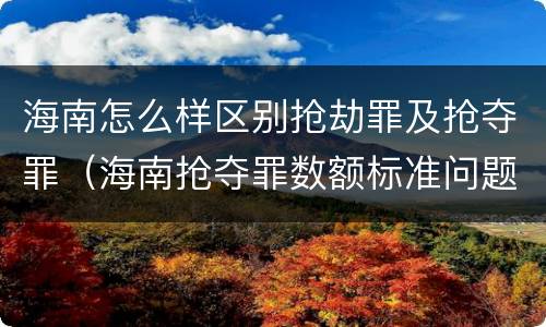海南怎么样区别抢劫罪及抢夺罪（海南抢夺罪数额标准问题的规定）