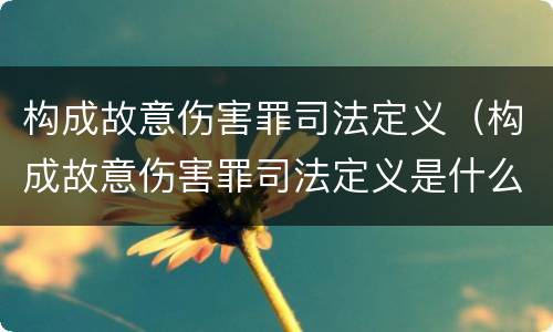 构成故意伤害罪司法定义（构成故意伤害罪司法定义是什么）