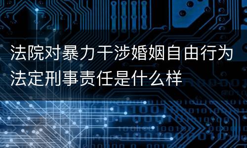 法院对暴力干涉婚姻自由行为法定刑事责任是什么样