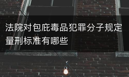 法院对包庇毒品犯罪分子规定量刑标准有哪些