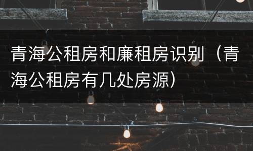 青海公租房和廉租房识别（青海公租房有几处房源）