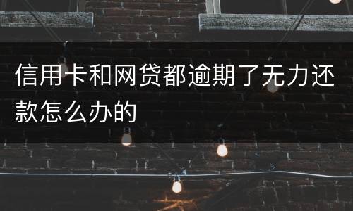 信用卡和网贷都逾期了无力还款怎么办的
