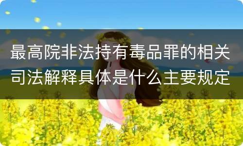 最高院非法持有毒品罪的相关司法解释具体是什么主要规定