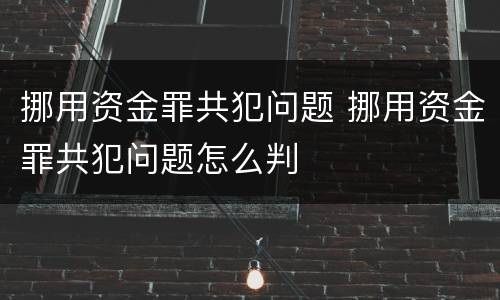挪用资金罪共犯问题 挪用资金罪共犯问题怎么判