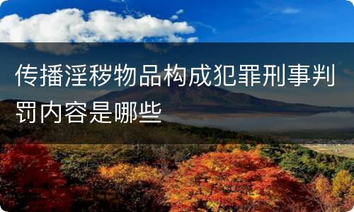 传播淫秽物品构成犯罪刑事判罚内容是哪些