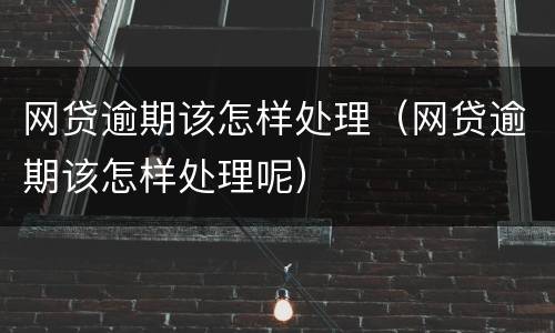 网贷逾期该怎样处理（网贷逾期该怎样处理呢）