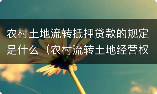 农村土地流转抵押贷款的规定是什么（农村流转土地经营权抵押）