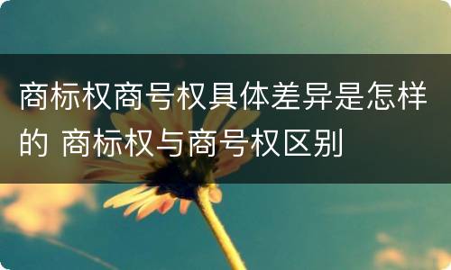 商标权商号权具体差异是怎样的 商标权与商号权区别