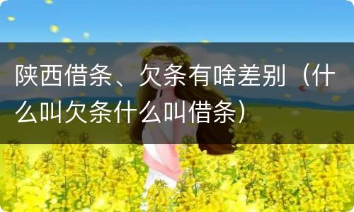 陕西借条、欠条有啥差别（什么叫欠条什么叫借条）