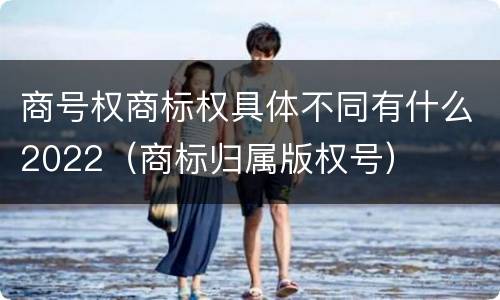 商号权商标权具体不同有什么2022（商标归属版权号）