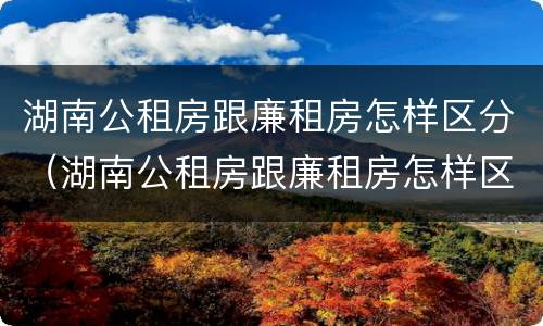 湖南公租房跟廉租房怎样区分（湖南公租房跟廉租房怎样区分的）
