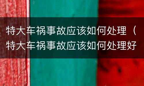 特大车祸事故应该如何处理（特大车祸事故应该如何处理好）