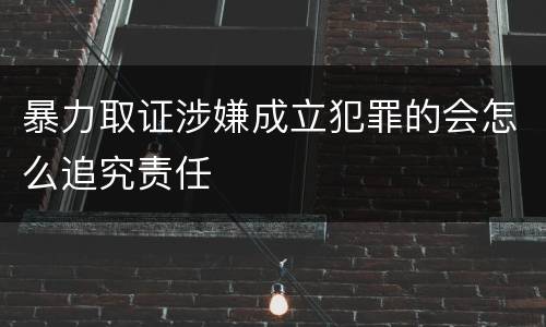 暴力取证涉嫌成立犯罪的会怎么追究责任