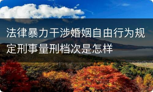 法律暴力干涉婚姻自由行为规定刑事量刑档次是怎样