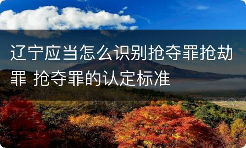 辽宁应当怎么识别抢夺罪抢劫罪 抢夺罪的认定标准