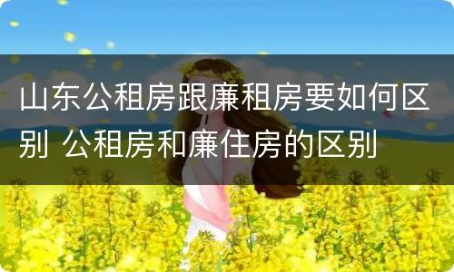 山东公租房跟廉租房要如何区别 公租房和廉住房的区别