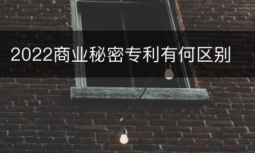 2022商业秘密专利有何区别
