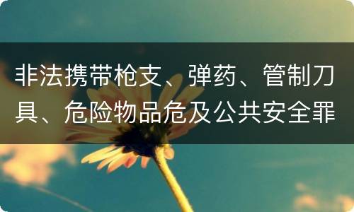 非法携带枪支、弹药、管制刀具、危险物品危及公共安全罪立案标准是什么