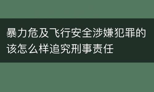 暴力危及飞行安全涉嫌犯罪的该怎么样追究刑事责任