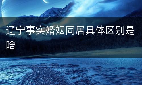 辽宁事实婚姻同居具体区别是啥