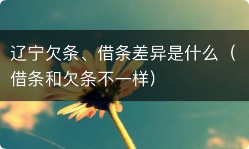 辽宁欠条、借条差异是什么（借条和欠条不一样）