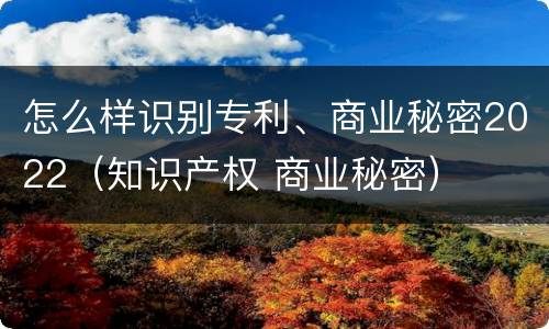 怎么样识别专利、商业秘密2022（知识产权 商业秘密）