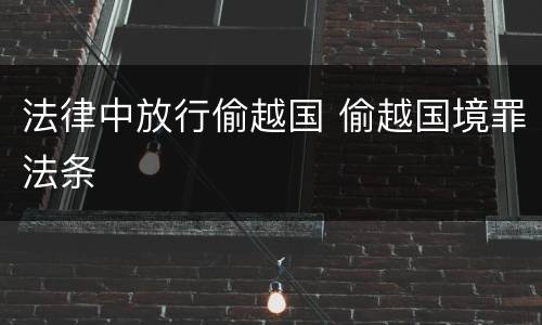 法律中放行偷越国 偷越国境罪法条