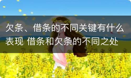 欠条、借条的不同关键有什么表现 借条和欠条的不同之处