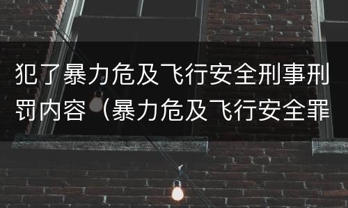 犯了暴力危及飞行安全刑事刑罚内容（暴力危及飞行安全罪属于什么犯）